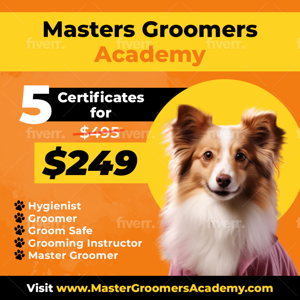 Become a certified groomer. Five certificates for $249
